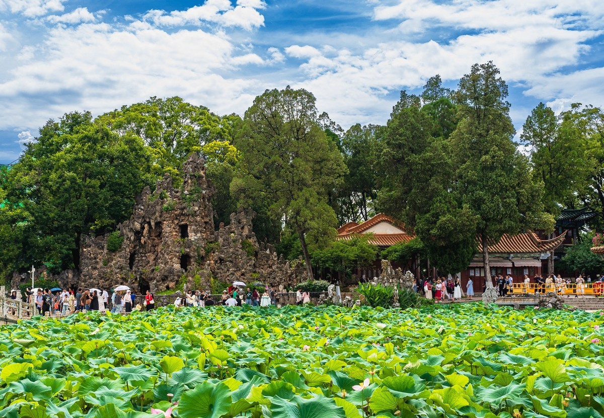 滇池岸边好风光