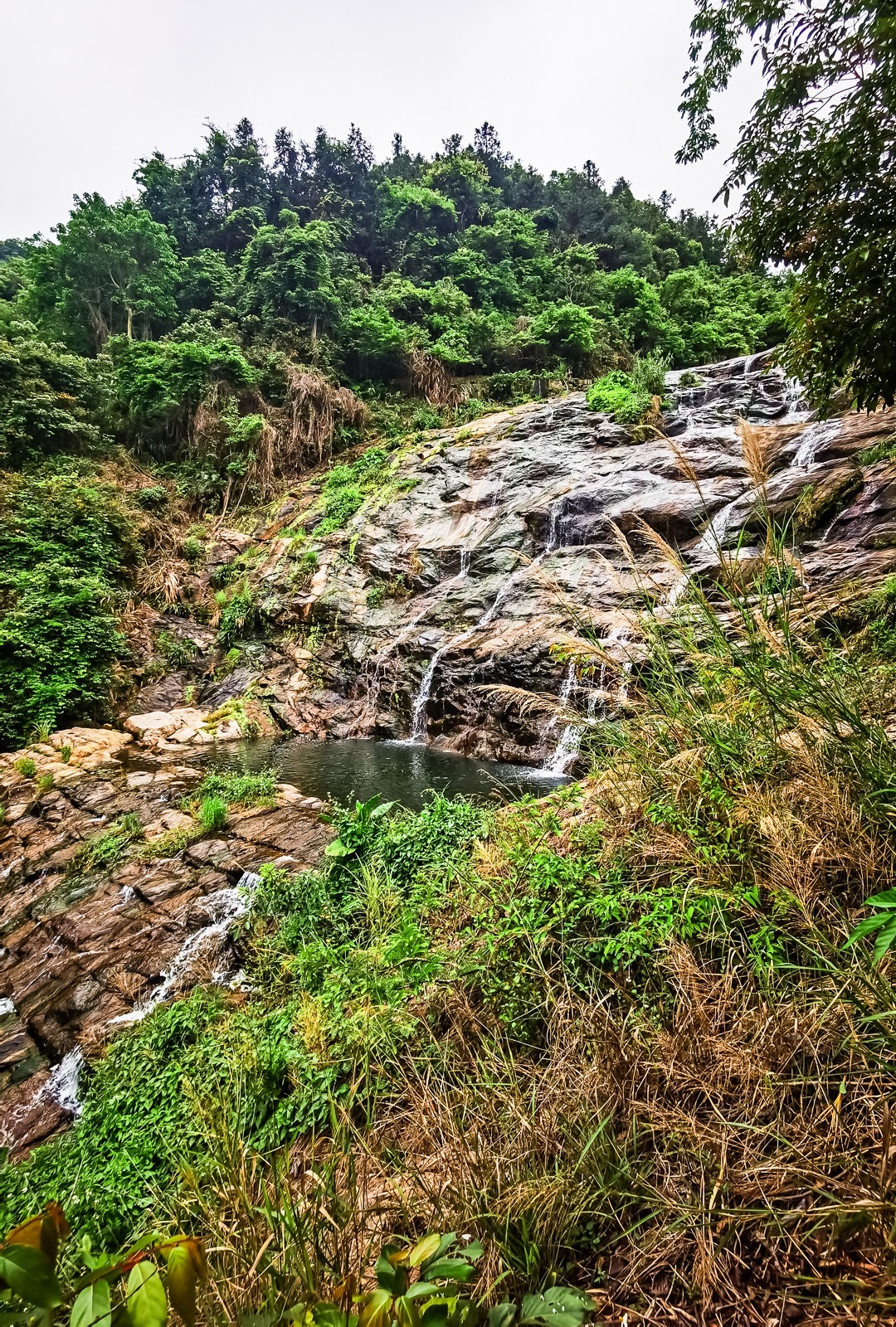 深圳马峦山郊野公园掠影