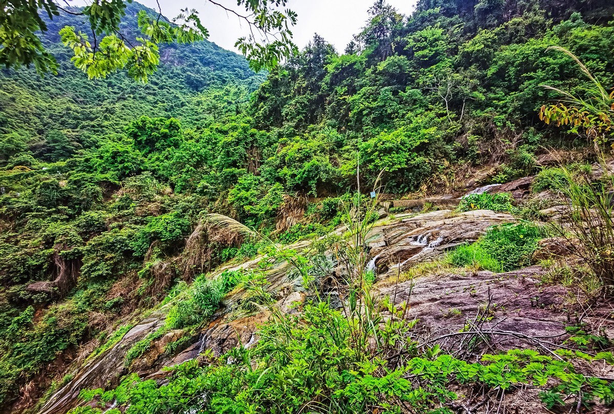 深圳马峦山郊野公园掠影