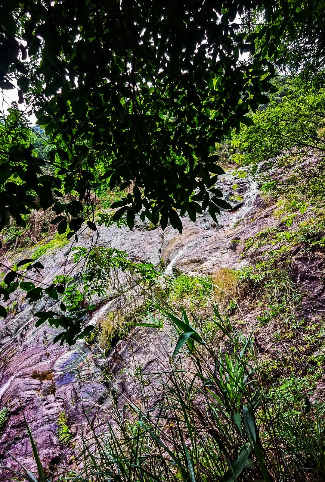 深圳马峦山郊野公园掠影