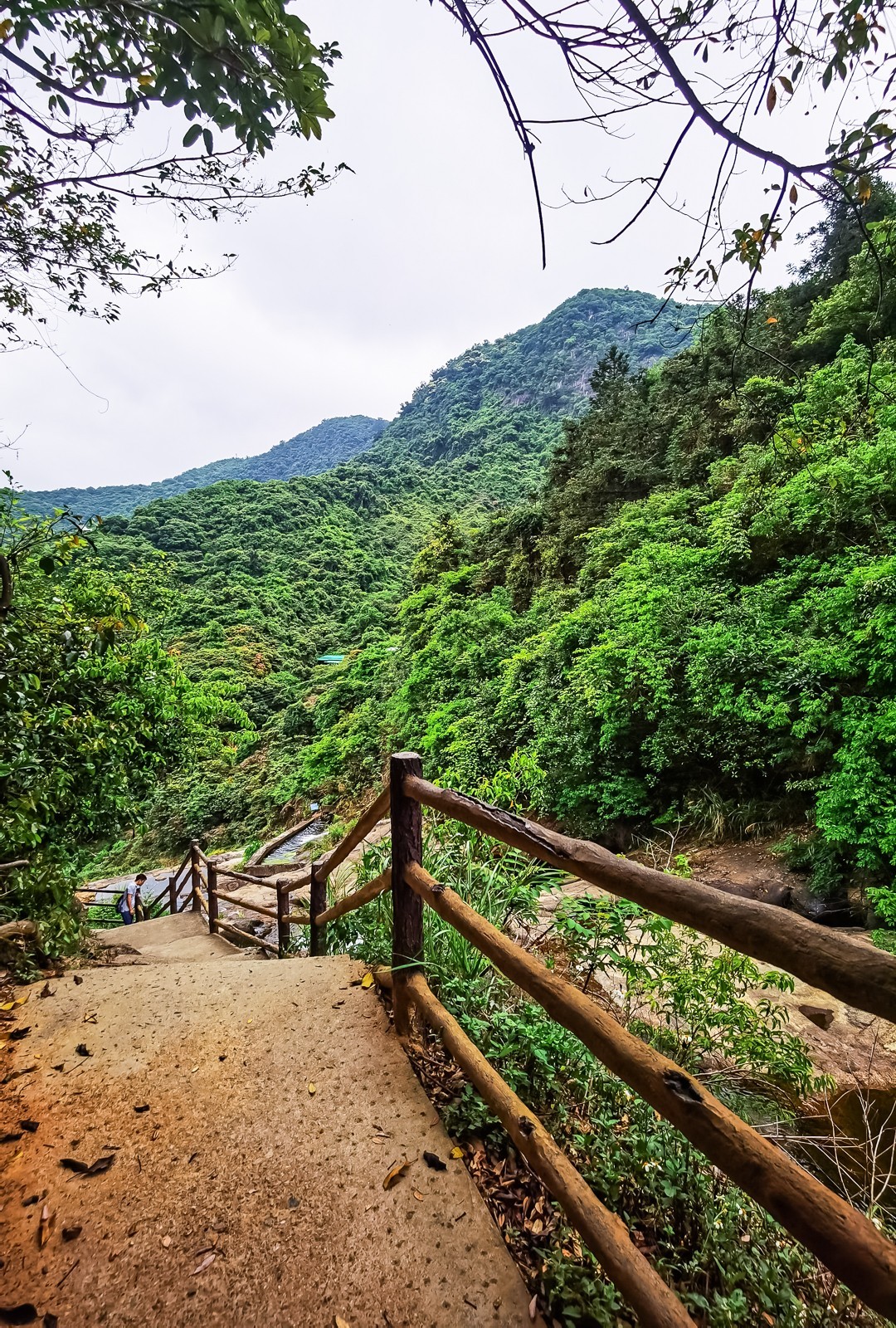 深圳马峦山郊野公园掠影