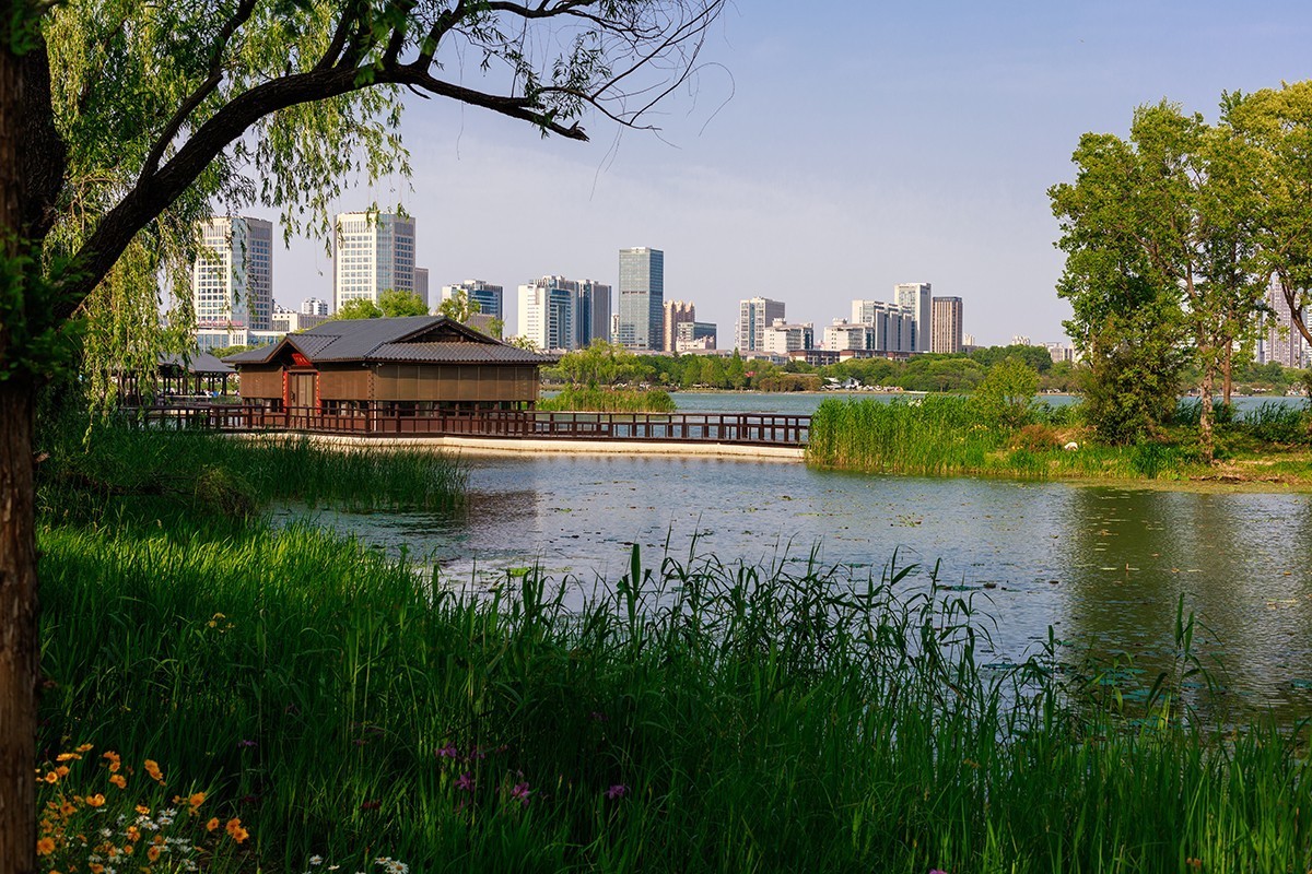 用佳能EF 50mm f/1.4 USM乱拍几张