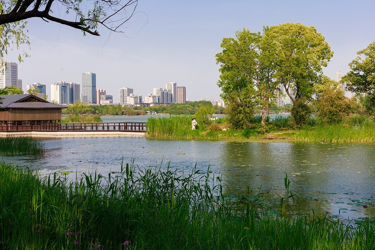 用佳能EF 50mm f/1.4 USM乱拍几张