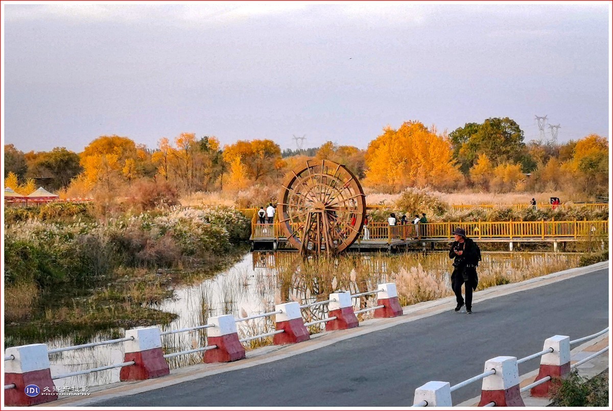 2024-（215）泽普金胡杨林公园（十一）