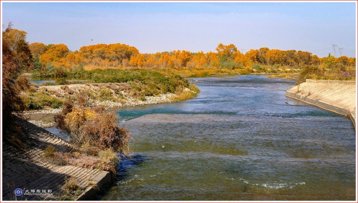 2024-（215）泽普金胡杨林公园（十一）