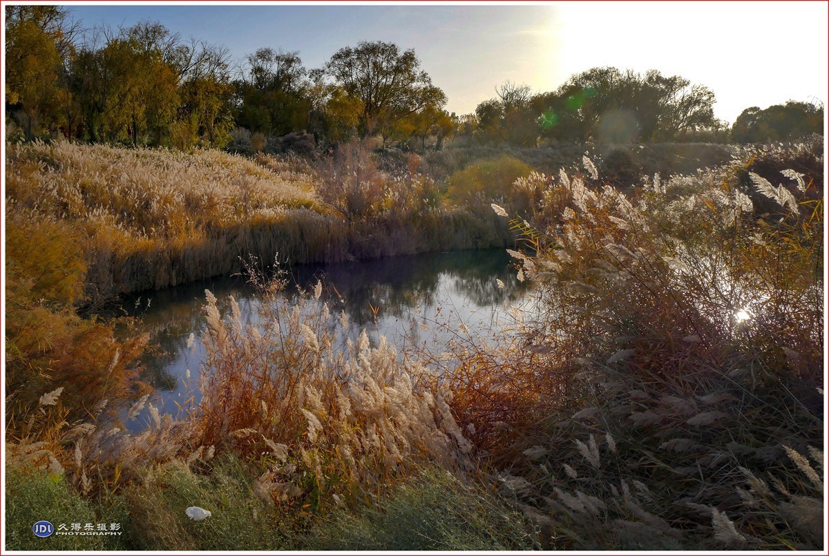 2024-（215）泽普金胡杨林公园（十一）