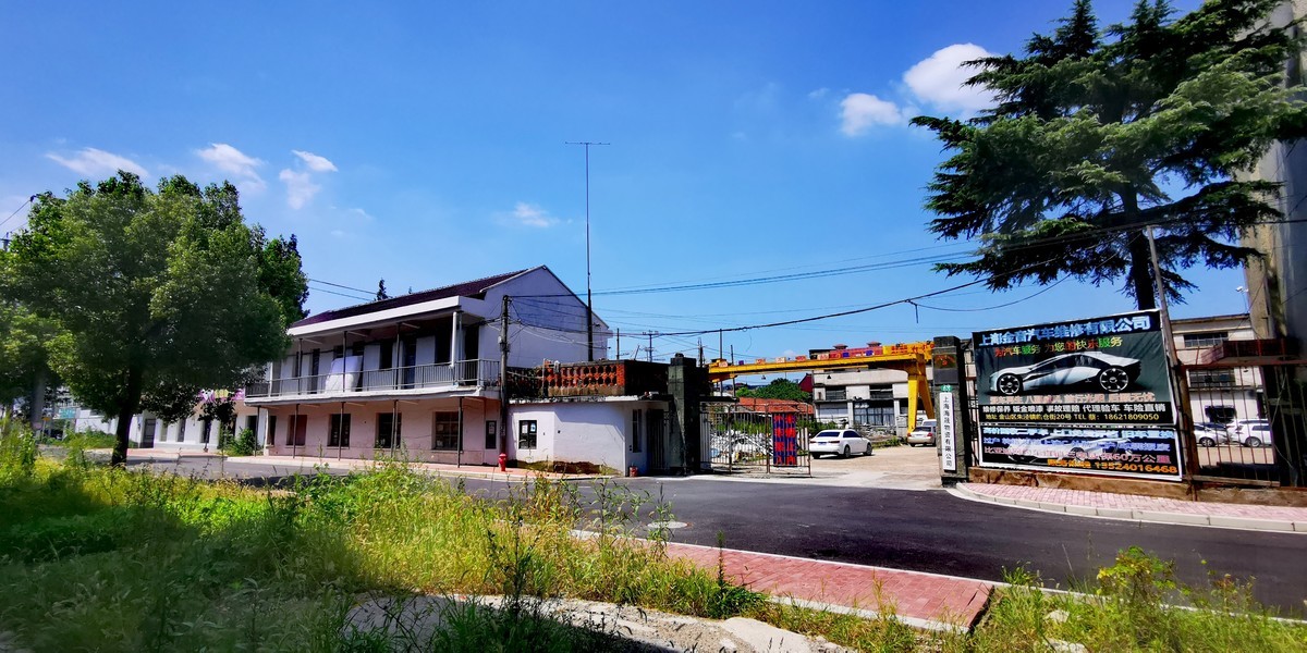 自向深冬著艳阳