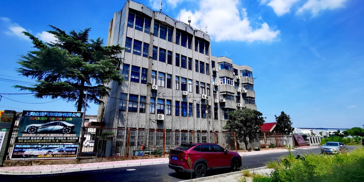 自向深冬著艳阳