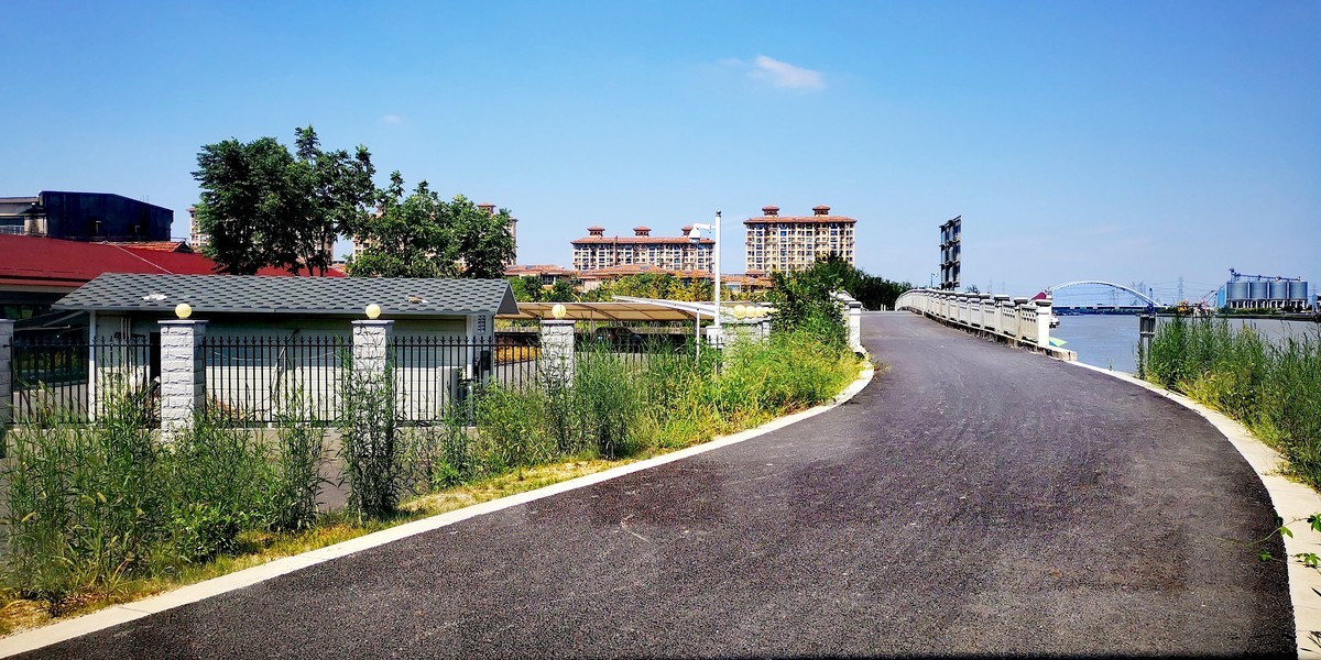 自向深冬著艳阳