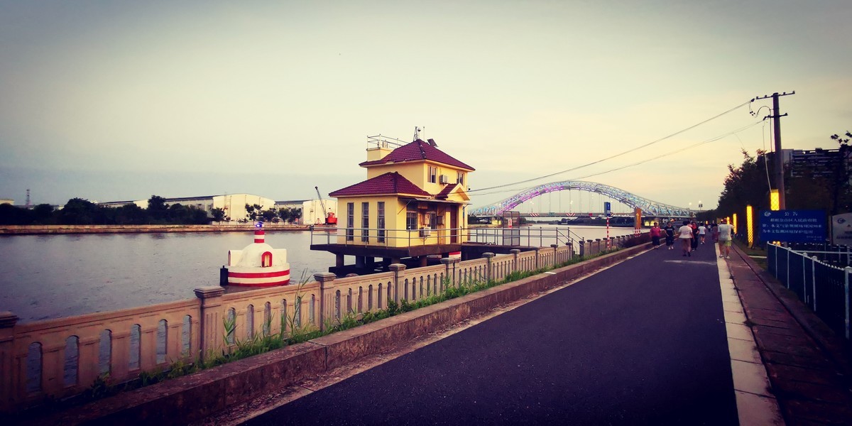 自向深冬著艳阳