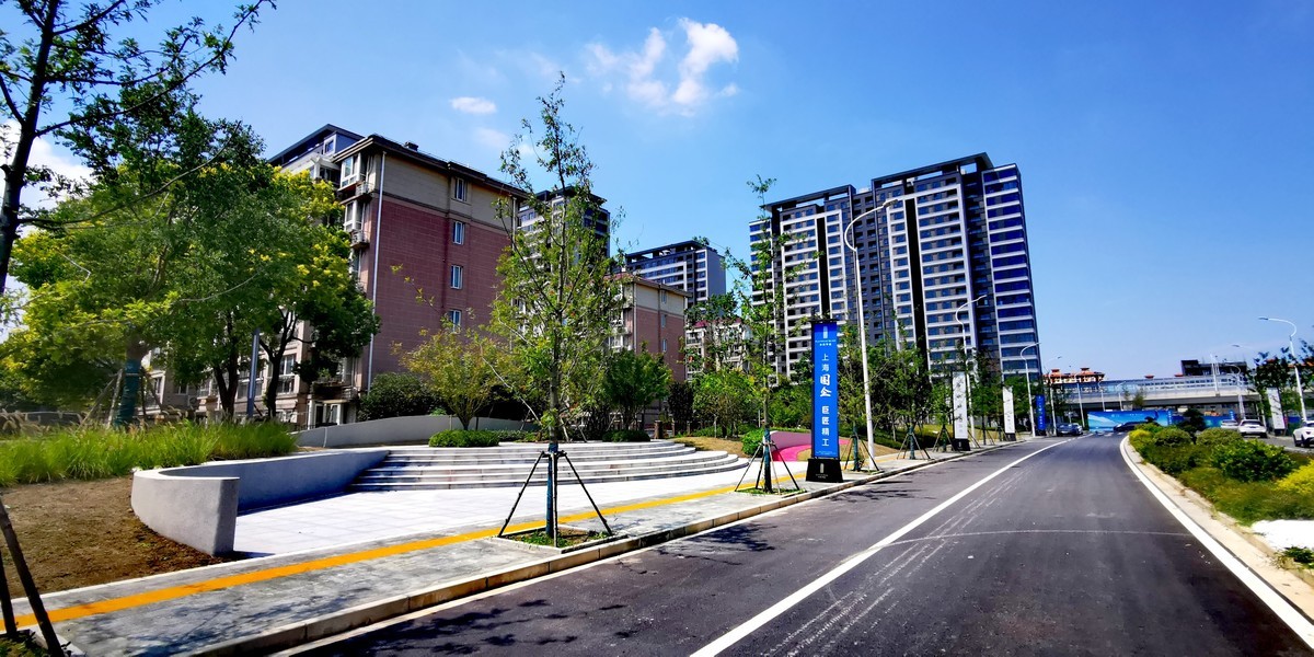 自向深冬著艳阳