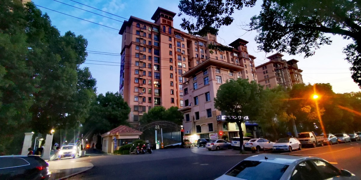 自向深冬著艳阳