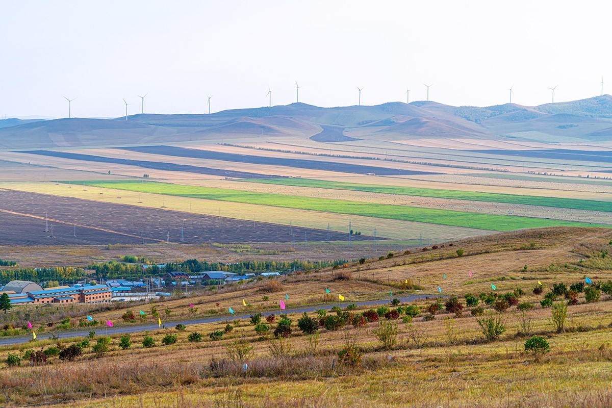 #留住美丽秋天# ---结伴旅游--额尔古纳湿地