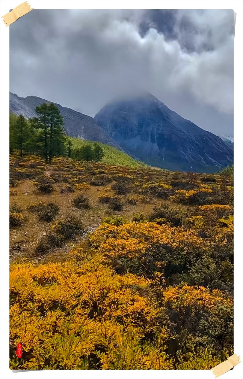 2022年稻城亚丁云拍-54