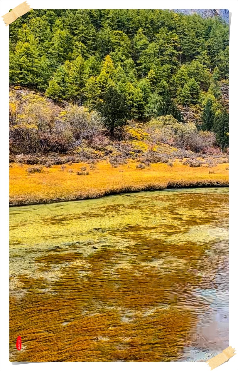 2022年稻城亚丁云拍-54