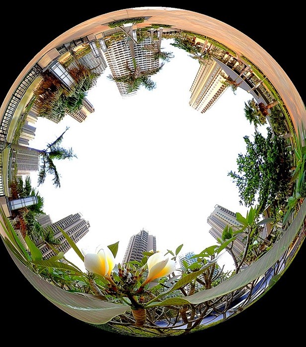 《不老松：纪实摄影》720度全景片：前六片向外放射、后三片向内放射(魚眼模式)海南临