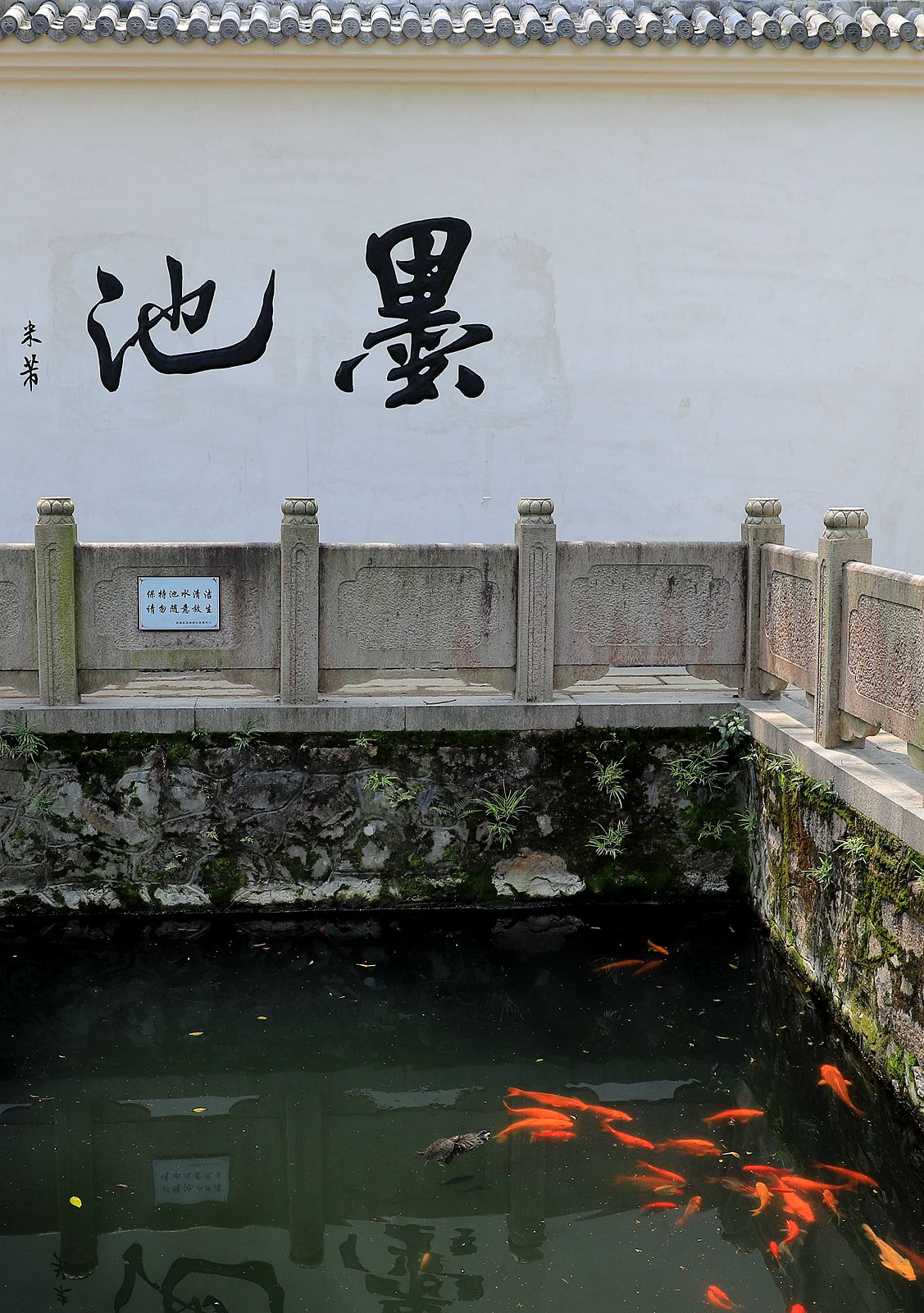 墨池公园-中关村在线摄影论坛