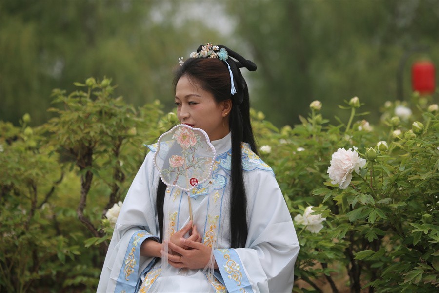 春天百花盛开唯有牡丹最精彩