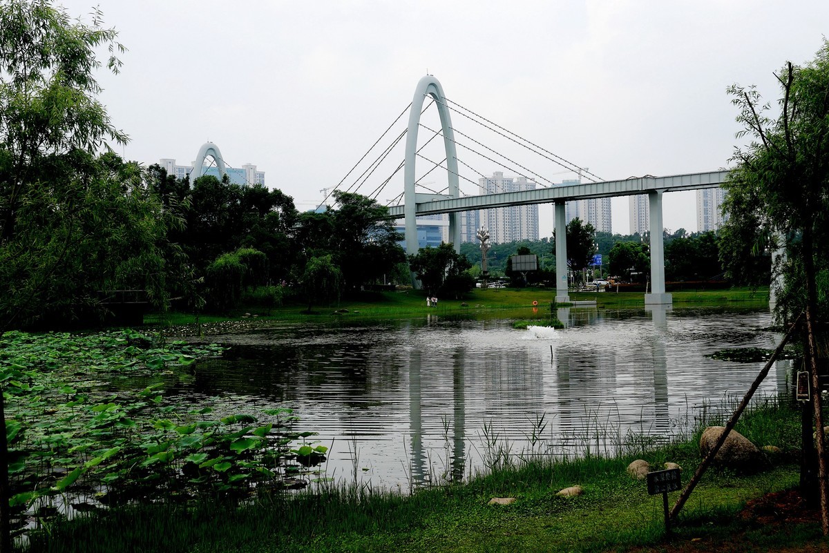 武汉映像---武昌西苑公园风光！