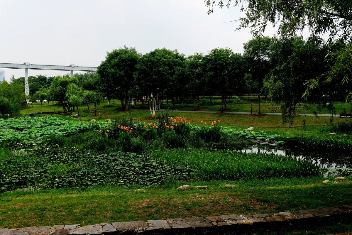 武汉映像---武昌西苑公园风光！