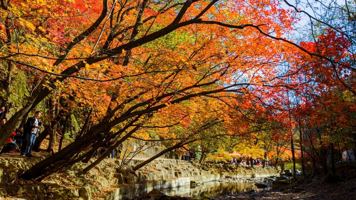 外出随拍（续262）.