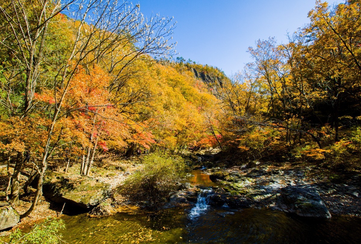 外出随拍（续262）.