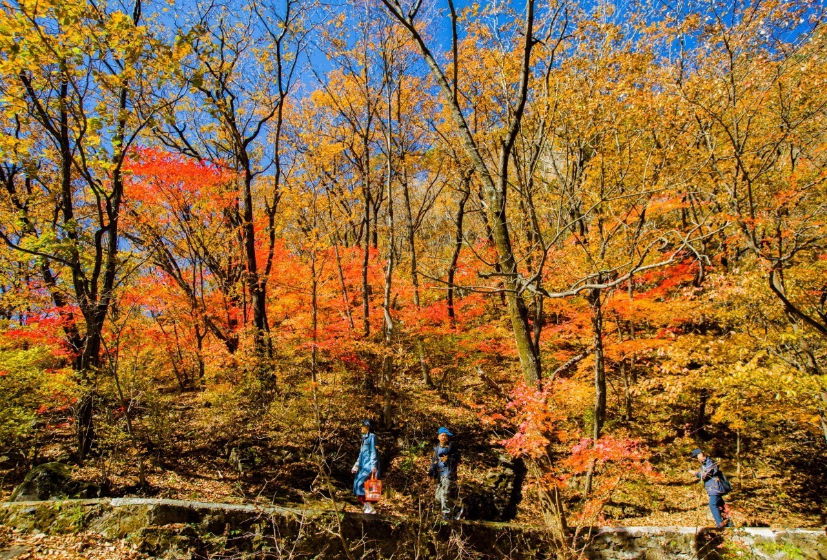 外出随拍（续262）.