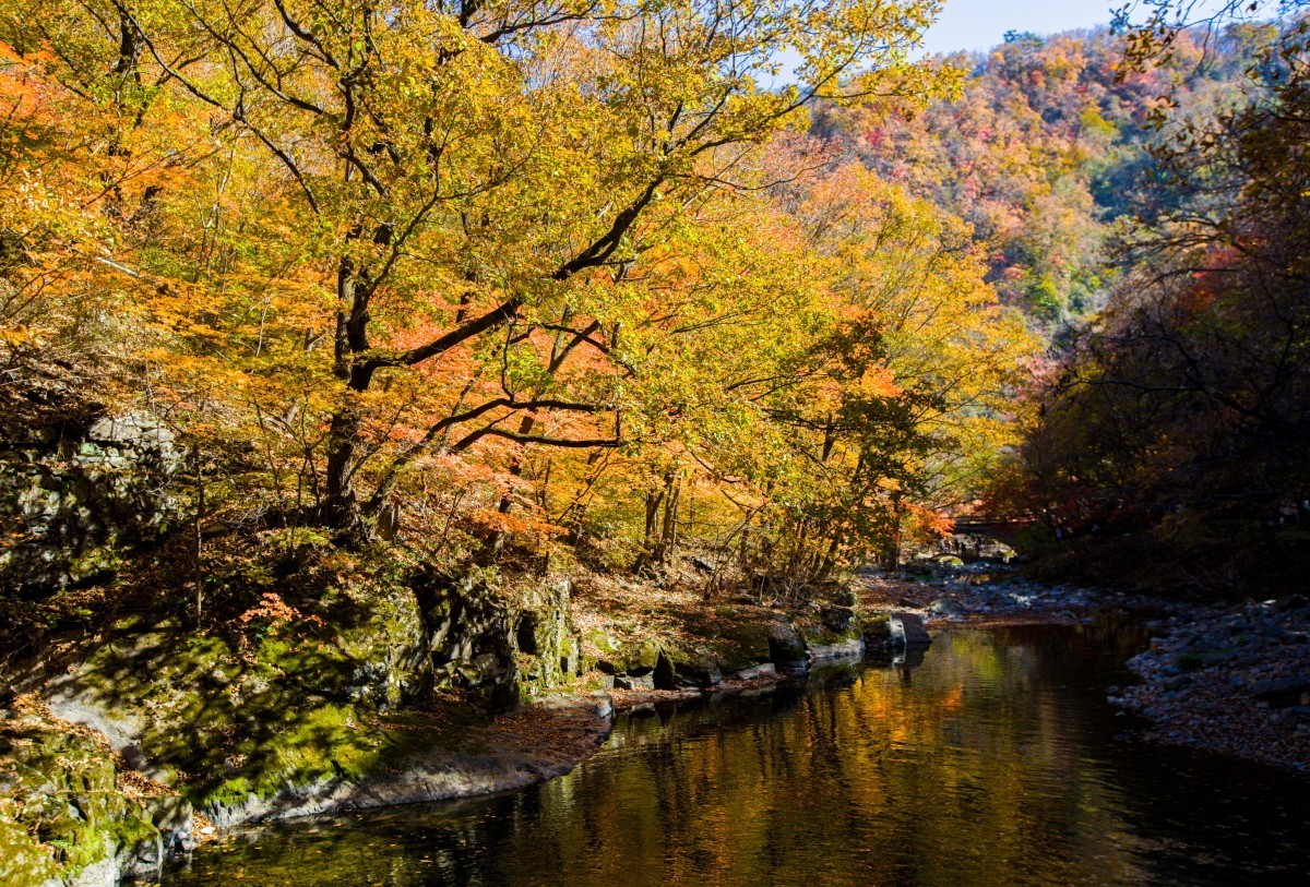 外出随拍（续262）.