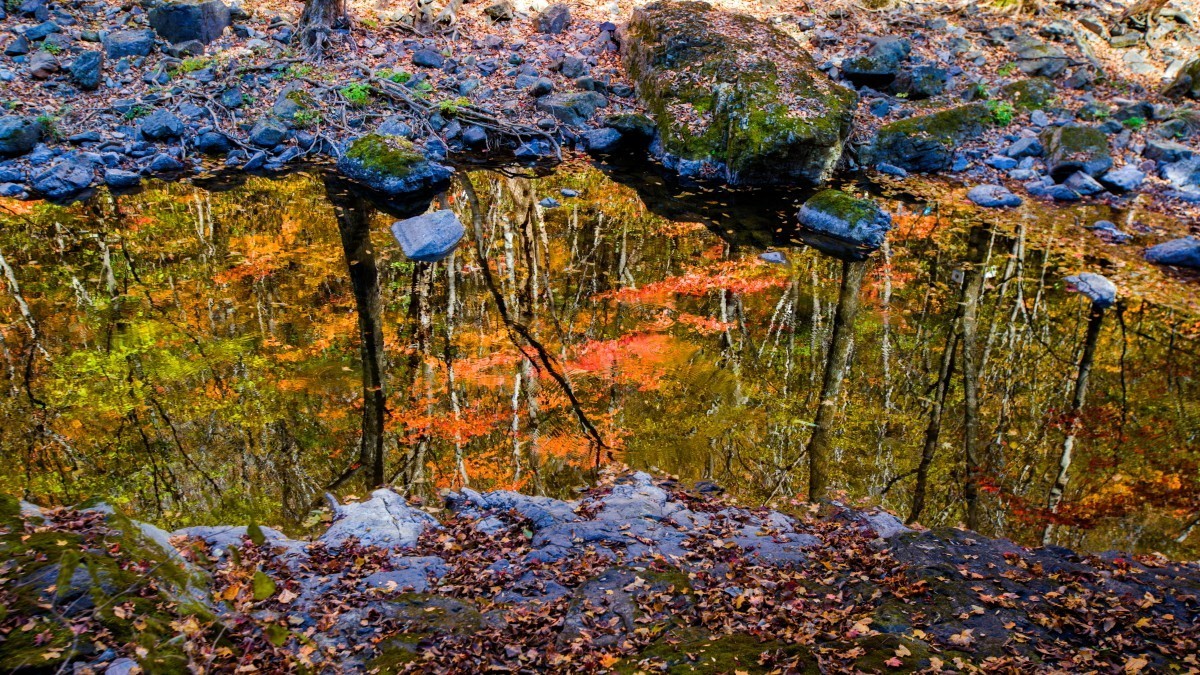 外出随拍（续262）.