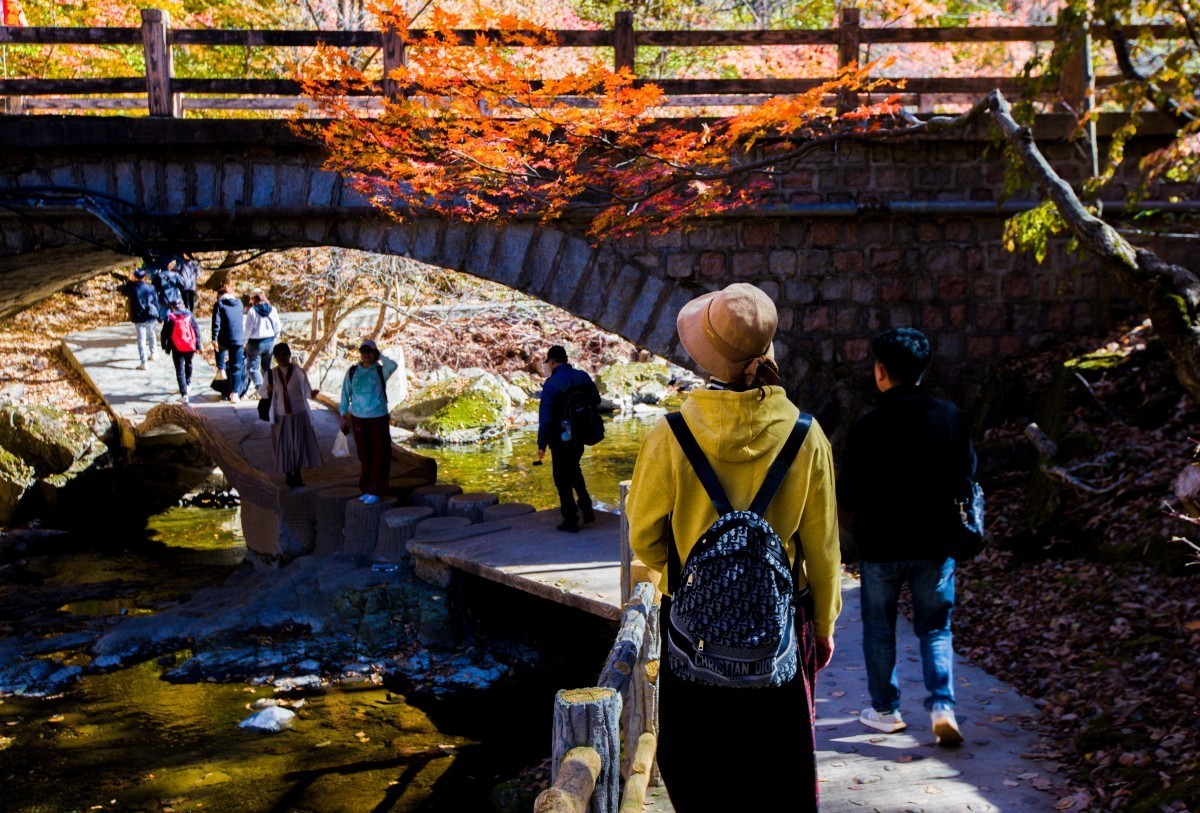 外出随拍（续262）.