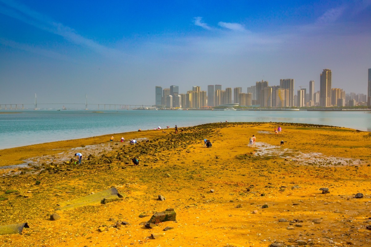 请假贴(湛江金沙滩周边风景 5)