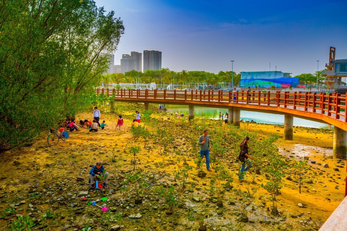 请假贴(湛江金沙滩周边风景 5)