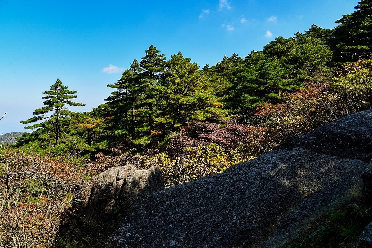 2025年第0386贴-黄山风光纪实拍（0606）