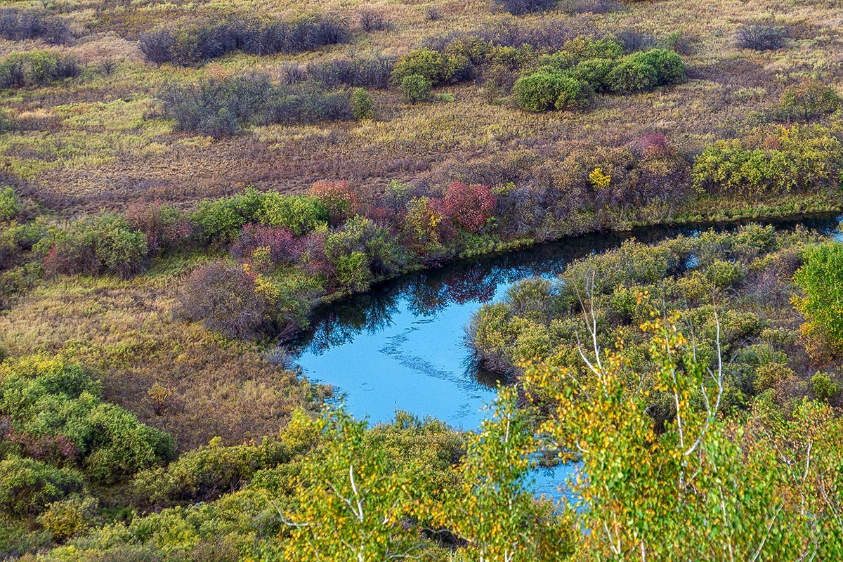 #留住美丽秋天# ---结伴旅游--额尔古纳湿地