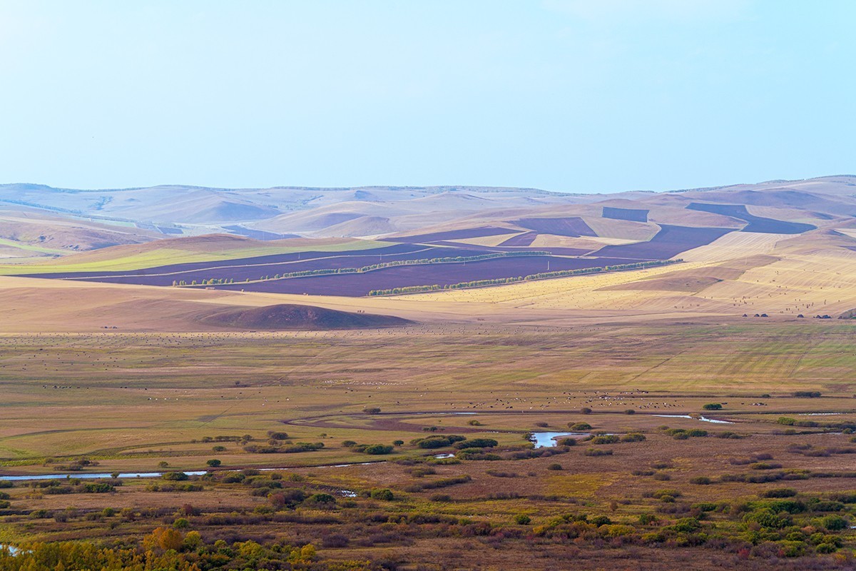 #留住美丽秋天# ---结伴旅游--额尔古纳湿地