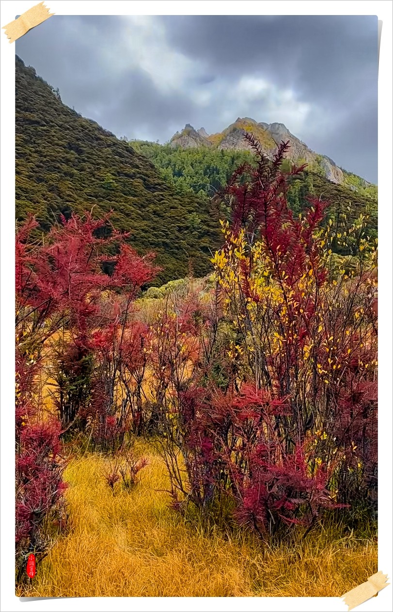 2022年稻城亚丁云拍-54