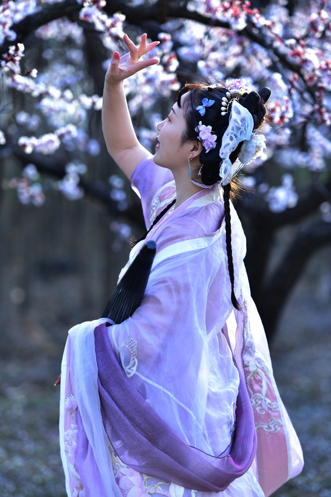 杏花疏影