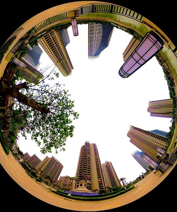 《不老松：纪实摄影》720度全景片：前六片向外放射、后三片向内放射(魚眼模式)海南临