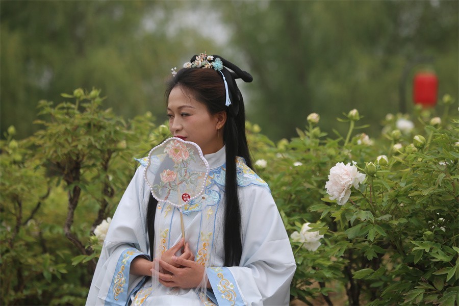 春天百花盛开唯有牡丹最精彩