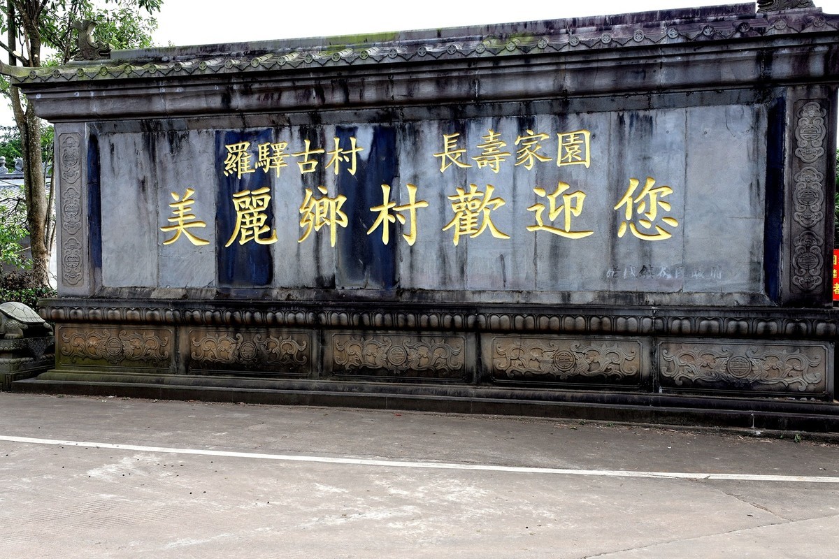 海口澄迈罗驿古树