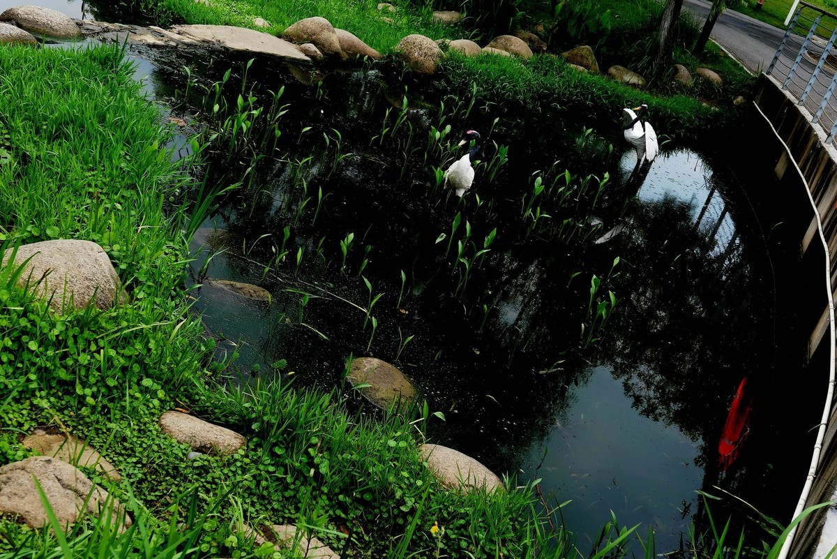 武汉映像---武昌西苑公园风光！