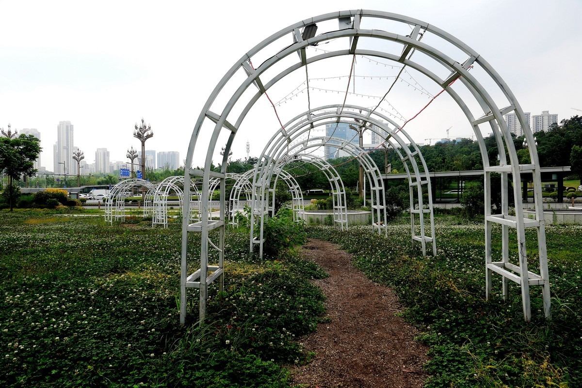 武汉映像---武昌西苑公园风光！