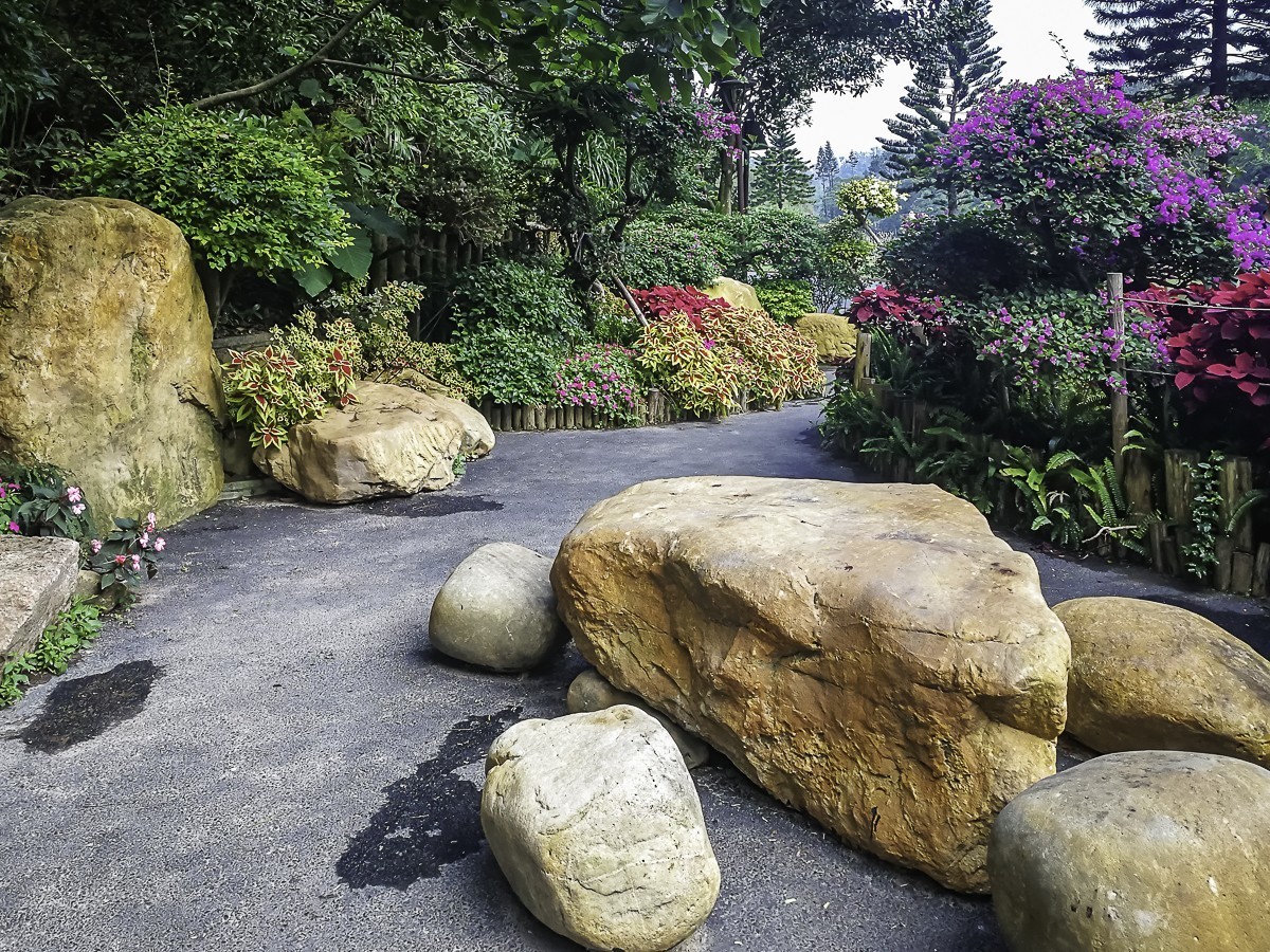 深圳仙湖植物园 ~ 掠影