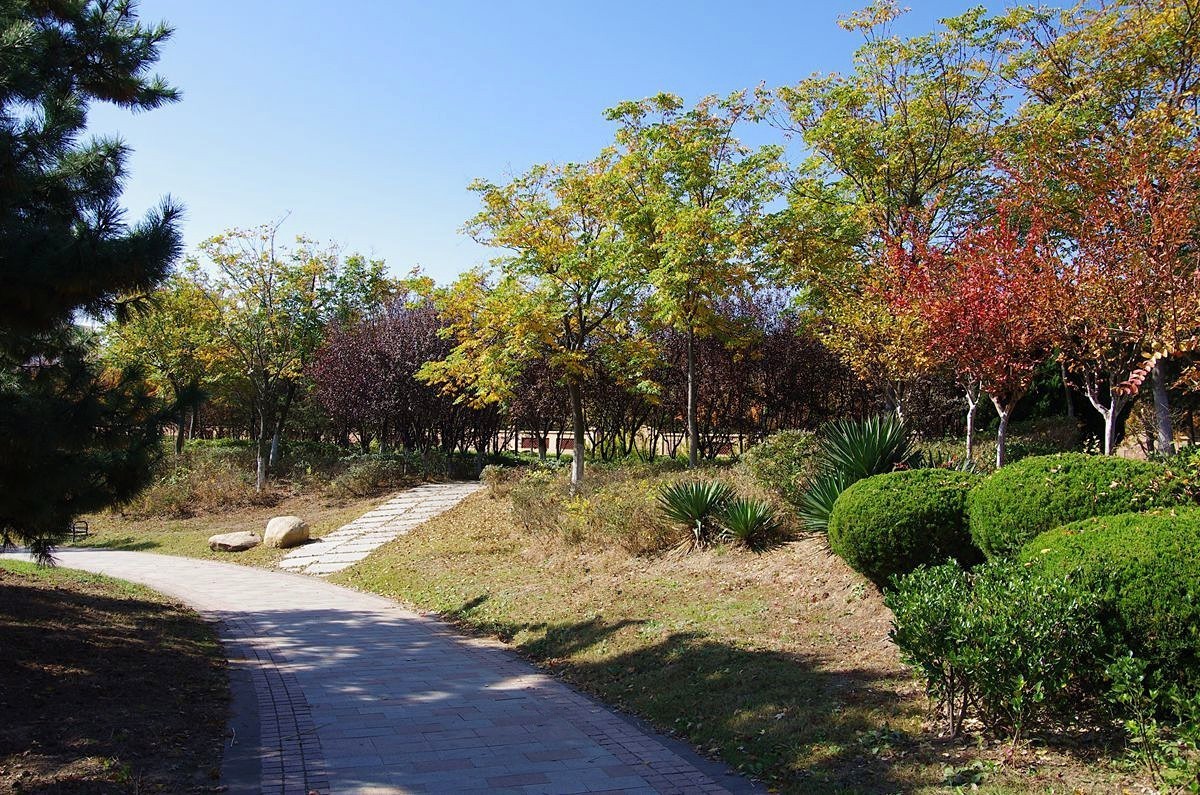 秋日少海速写-12P