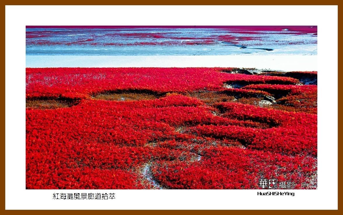 美色辽宁——红海滩风景廊道拾萃（盘锦市）