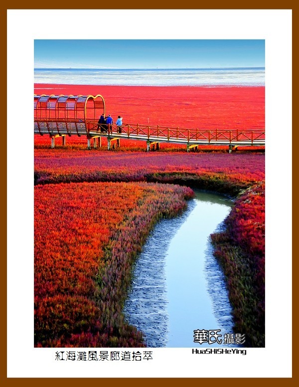 美色辽宁——红海滩风景廊道拾萃（盘锦市）