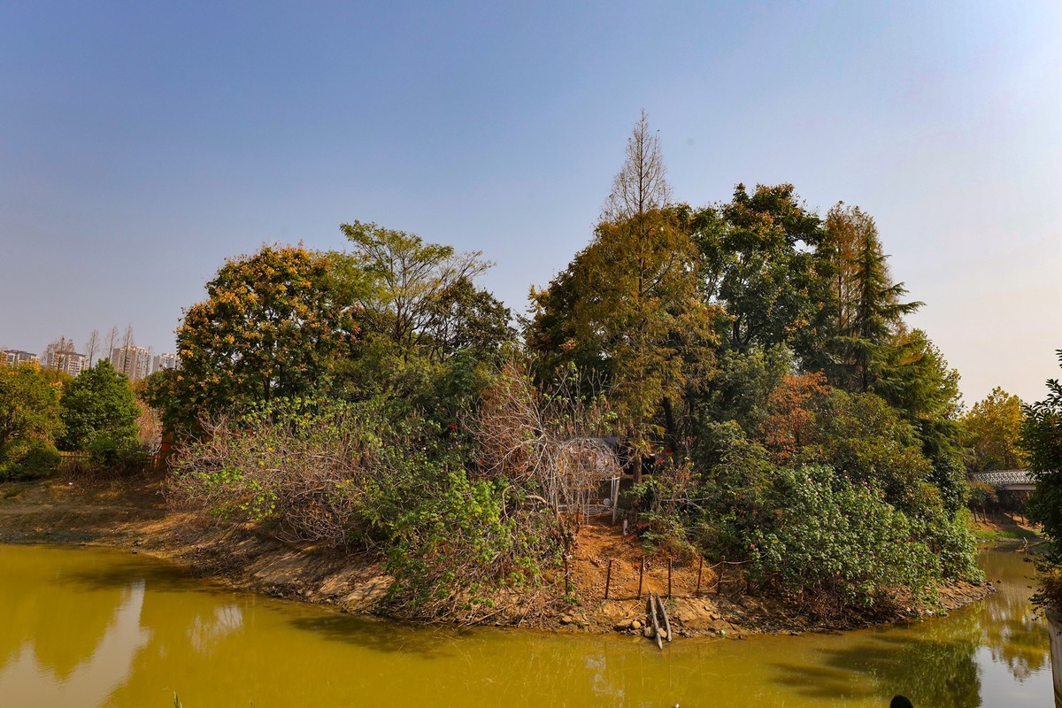 婚庆公园小景4