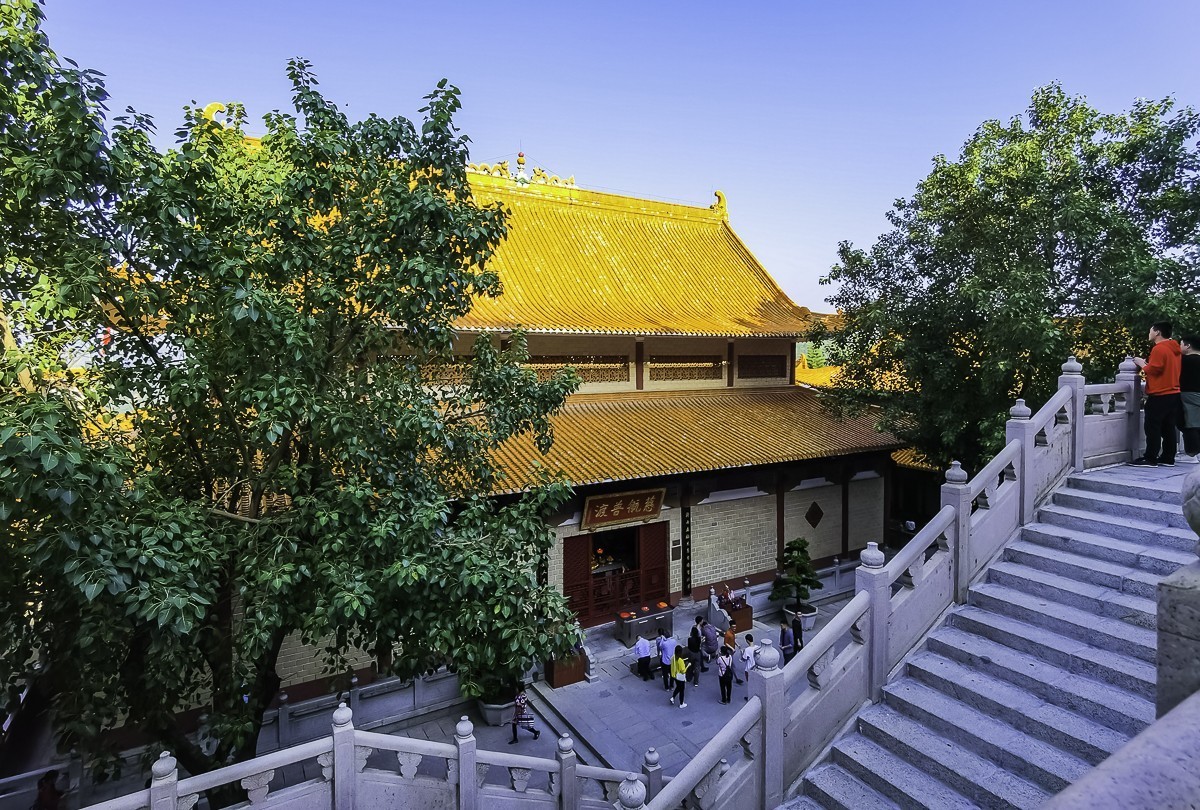 深圳弘法寺 ~ 掠影-中关村在线摄影论坛