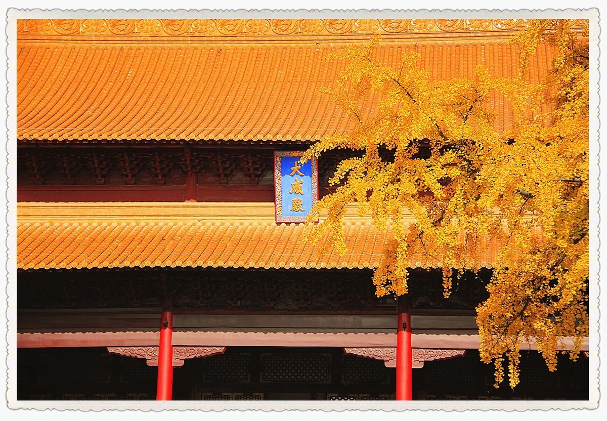 2023年第四季度随拍