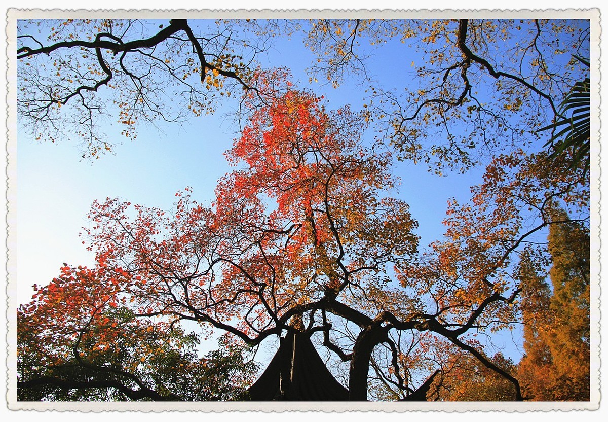 2023年第四季度随拍